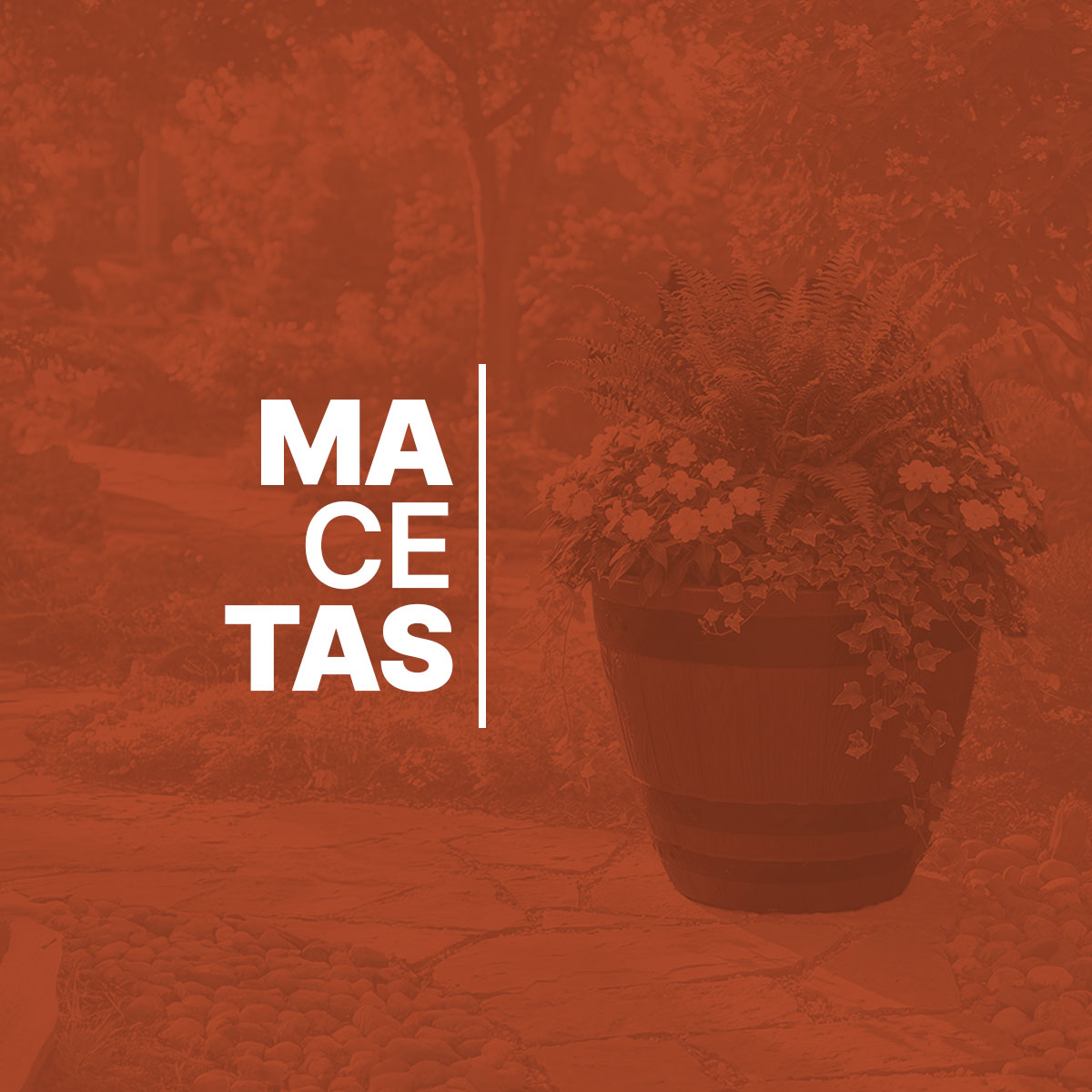 Macetas